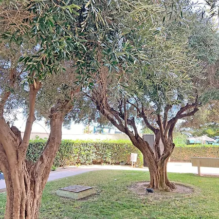 Oasis Frente Al Mar. Parking Gratis Apartment